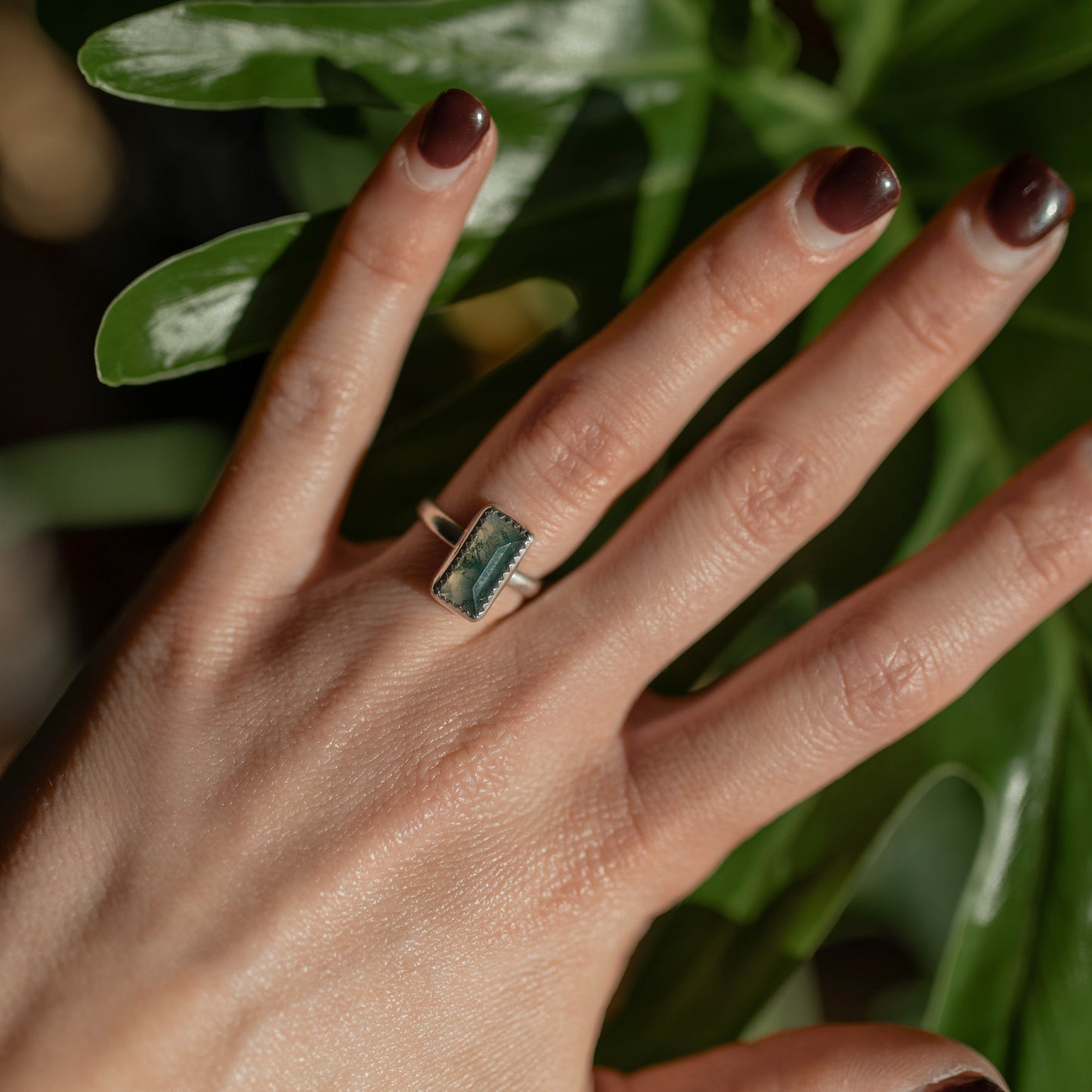 pine hollow ring